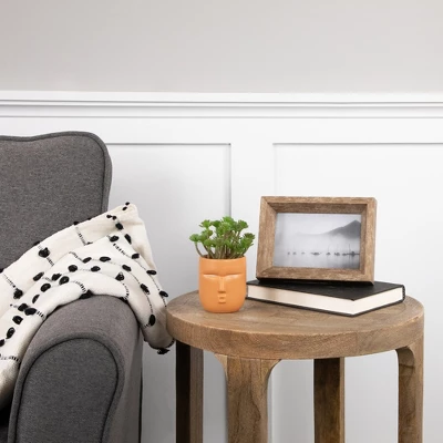 Northlight 5.5" Mini Artificial Succulent In Face Planter Pot 3 Northlight 5.5" Mini Artificial Succulent In Face Planter Pot