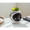 Silver Buffalo NASA Space Helmet 6-Inch Ceramic Planter With Artificial Succulent 2 Silver Buffalo NASA Space Helmet 6-Inch Ceramic Planter With Artificial Succulent -Greenery Decor Store GUEST 08f6a148 6afc 4fe1 ae1d a8e0e248a0b7
