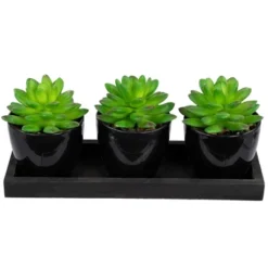 Northlight Mini Artificial Potted Succulents With Wood Planter - 5" - Set Of 3 -Greenery Decor Store GUEST 0b740f21 e321 428b 8c81 71ecef4764f8