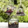 D'Eco Glass Geometric Plant Terrarium 3Pk - Hanging Triangle, House & Prism Planters - Home, Garden & Office Botanical Decor - Gift For Plant Lovers -Greenery Decor Store GUEST 0e64fcab 73df 44eb 9f4d 4273f3663d6c