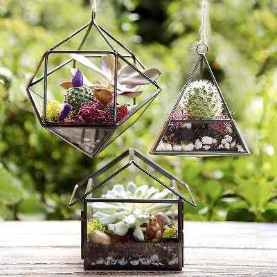 D'Eco Glass Geometric Plant Terrarium 3Pk - Hanging Triangle, House & Prism Planters - Home, Garden & Office Botanical Decor - Gift For Plant Lovers 2 D'Eco Glass Geometric Plant Terrarium 3Pk - Hanging Triangle, House & Prism Planters - Home, Garden & Office Botanical Decor - Gift For Plant Lovers