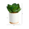 Nearly Natural 6-in Succulent Artificial Plant In White Ceramic Planter -Greenery Decor Store GUEST 0eac73e1 9042 4dd5 8ed7 6cb621f38161