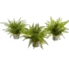 Nearly Natural 14-in Assorted Ferns With Planter Artificial Plant, Set Of 3