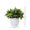 Nearly Natural 11-in Artificial Boxwood Plant With Decorative Planter