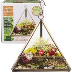D'Eco Hanging Glass Triangle Plant Terrarium- Copper Geometric Planter Terrarium - Home, Garden & Office Decor- Gift For Plant Lovers -Greenery Decor Store GUEST 14519d65 35c2 4bea 9303 2d9fe6c35b2c