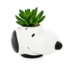 Silver Buffalo Peanuts Snoopy Face Ceramic Mini Planter With Artificial Succulent | 3.5"L X 5" H X 5" W -Greenery Decor Store GUEST 14e58f74 cee6 4fe0 a833 e51ed24eef3a