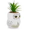 Silver Buffalo Harry Potter Hedwig 3-Inch Ceramic Mini Planter With Artificial Succulent -Greenery Decor Store GUEST 15457b5c e817 418b 9424 d810595f6e0f