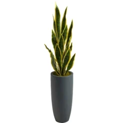 Nearly Natural 3.5-ft Artificial Sansevieria Snake Plant In Gray Planter 9 Nearly Natural 3.5-ft Artificial Sansevieria Snake Plant In Gray Planter -Greenery Decor Store GUEST 156152f3 3f45 4b37 9a66 bd5eea0415ed