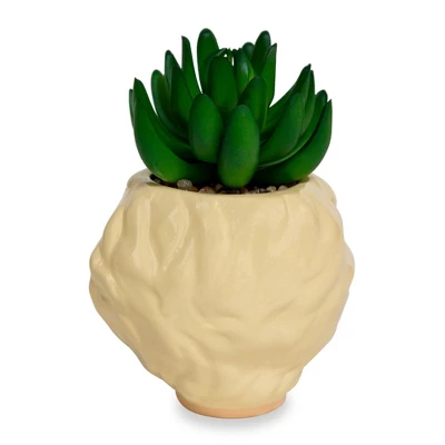 Silver Buffalo The Golden Girls Rose 3.25-Inch Ceramic Mini Planter With Artificial Succulent 4 Silver Buffalo The Golden Girls Rose 3.25-Inch Ceramic Mini Planter With Artificial Succulent - Image 2