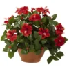 Nearly Natural Hibiscus With Clay Planter -Greenery Decor Store GUEST 16aee8b8 a461 4871 9c18 52d30beb94ca