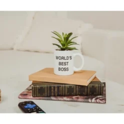 Silver Buffalo The Office "World's Best Boss" 3-Inch Ceramic Mini Planter With Artificial Succulent 11 Silver Buffalo The Office "World's Best Boss" 3-Inch Ceramic Mini Planter With Artificial Succulent -Greenery Decor Store GUEST 18029b7c b99e 46e2 941d bbb180aa567c