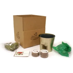 Amaryllis Kit Red Lion Bulb With Iron Brass Fluted Large Planter - Van Zyverden 7 Amaryllis Kit Red Lion Bulb With Iron Brass Fluted Large Planter - Van Zyverden -Greenery Decor Store GUEST 1a829df3 fedd 4979 99c4 45172f65ff76