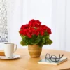 11" Indoor/Outdoor Geranium Artificial Plant In Ceramic Planter Red - Nearly Natural 2 11" Indoor/Outdoor Geranium Artificial Plant In Ceramic Planter Red - Nearly Natural -Greenery Decor Store GUEST 219a92fa 793c 4ec0 a0d5 bb3213d78fe1