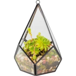 D'Eco Glass Geometric Plant Terrarium (5.7x5.7x7) - Indoor Tabletop & Hanging Teardrop Planter Holiday Decor - Christmas Gift For Plant Lovers -Greenery Decor Store GUEST 21db12de 075f 4b20 aef5 13ce5500076b