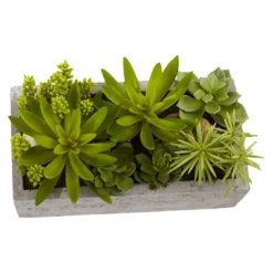 Nearly Natural Succulent Garden With Concrete Planter