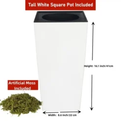 5ft Artificial Palm Tree In White Planter Faux Tropical Plant For Indoor Outdoor Office House Decor With 2 Trunks -Greenery Decor Store GUEST 241874aa bfc8 4833 9c9b 356ed2734bee