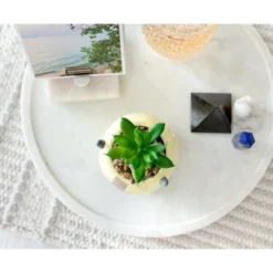 Silver Buffalo Avatar: The Last Airbender Appa 6-Inch Ceramic Planter With Artificial Succulent -Greenery Decor Store GUEST 271dc4e3 33a7 4e91 9e21 c6286ac9cbe6