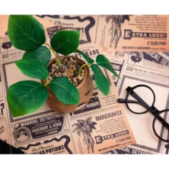 Silver Buffalo Harry Potter Mandrake Face 6-Inch Ceramic Planter With Artificial Succulent -Greenery Decor Store GUEST 27b882f8 c8bd 4250 95d8 fb32f65342b6