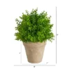 Nearly Natural 8-in Boxwood Artificial Plant In Decorative Planter -Greenery Decor Store GUEST 2834b26f c159 460a bc10 2e746bd75504
