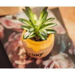 Silver Buffalo Disney Winnie The Pooh Hunny Pot Ceramic Mini Planter With Artificial Succulent -Greenery Decor Store GUEST 2b3b59a8 d895 43d6 b48a 48a8070c943c