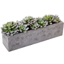 Nearly Natural Succulent Garden With Textured Concrete Planter -Greenery Decor Store GUEST 2bceae40 1781 4809 8a7e 53025bb21e83