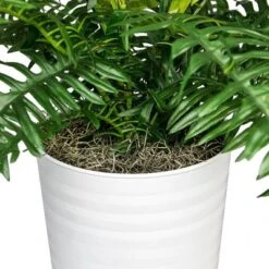 36" Artificial Ribbed Metal Planter Fern In Black Or White - LCG Florals -Greenery Decor Store GUEST 2d82e2ea fa21 4638 ba52 870e4171926a