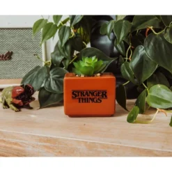 Silver Buffalo Stranger Things Missing Barb 3.75-Inch Ceramic Mini Planter With Artificial Succulent 9 Silver Buffalo Stranger Things Missing Barb 3.75-Inch Ceramic Mini Planter With Artificial Succulent -Greenery Decor Store GUEST 2e190572 b486 4e7c be4d d6f82b70faa6