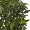 33" Bracken Fern With Decorative Planter - Nearly Natural -Greenery Decor Store GUEST 32dedc2d c911 4e86 a9c2 2446edfd62aa