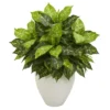 Nearly Natural 28-in Dieffenbachia Artificial Plant In White Planter 2 Nearly Natural 28-in Dieffenbachia Artificial Plant In White Planter -Greenery Decor Store GUEST 39013000 f999 473e b7b8 56ee54fba254