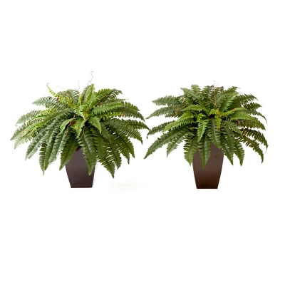 Nearly Natural 23-in Artificial Boston Fern Plant With Tapered Bronze Square Metal Planter DIY KIT (Set Of 2) 7 Nearly Natural 23-in Artificial Boston Fern Plant With Tapered Bronze Square Metal Planter DIY KIT (Set Of 2) - Image 5