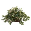 Nearly Natural Hoya 16-in Artificial Plant In Decorative Planter 2 Nearly Natural Hoya 16-in Artificial Plant In Decorative Planter -Greenery Decor Store GUEST 3cbb63d8 e8bb 40d5 8056 08f14c0ce002