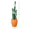 Nearly Natural 41-in Artificial Cactus In Terracotta Planter