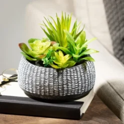 Sullivans Artificial Succulent In Cement Planter 6"H Green -Greenery Decor Store GUEST 3f407ecb 2531 4435 ac72 f8e930d5b0c1