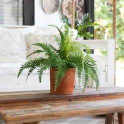 Nearly Natural 22-in Artificial Fern Plant In Decorative Planter -Greenery Decor Store GUEST 4088ef7e 2061 487f ab90 edee76a64e86