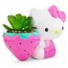 Silver Buffalo Sanrio Hello Kitty Strawberry 5-Inch Planter With Artificial Succulent 1 Silver Buffalo Sanrio Hello Kitty Strawberry 5-Inch Planter With Artificial Succulent -Greenery Decor Store GUEST 44fe388f 2286 4934 bea3 7a279b682a18