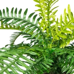 36" Artificial Ribbed Metal Planter Fern In Black Or White - LCG Florals -Greenery Decor Store GUEST 46c03cf7 73a2 41b7 9ce0 d3f77cfd4d17