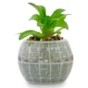 Silver Buffalo Star Wars Death Star 3-Inch Ceramic Mini Planter With Artificial Succulent -Greenery Decor Store GUEST 4a658711 f274 404f a891 6247cfa5532c