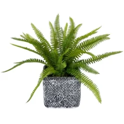 Northlight 20" Boston Fern Artificial Plant In Weathered Square Planter - Green/Gray -Greenery Decor Store GUEST 4a9220da 12b2 4d6c bf7c 45e0142df62a