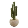 Nearly Natural 2.5-ft Cactus Artificial Plant In Bowl Planter