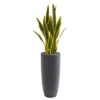 Nearly Natural 3-ft Sansevieria Artificial Plant In Gray Bullet Planter -Greenery Decor Store GUEST 4b8a8c48 747b 4419 90a7 644a3cff71e8