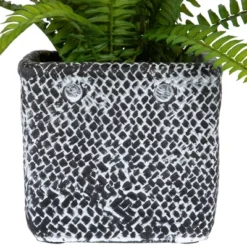 Northlight 20" Boston Fern Artificial Plant In Weathered Square Planter - Green/Gray -Greenery Decor Store GUEST 4d5cbaad 8202 48ec 8fa6 3c6a923d9aab