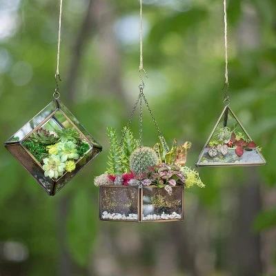 D'Eco Glass Geometric DIY Terrarium, Succulent & Air Plant- Hanging Mini Hexagon Shaped For Indoor Gardening Decor- Create Your Own Centerpiece 3 D'Eco Glass Geometric DIY Terrarium, Succulent & Air Plant- Hanging Mini Hexagon Shaped For Indoor Gardening Decor- Create Your Own Centerpiece - Image 2