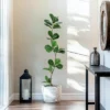 Whizmax Artificial Fiddle Leaf Fig Tree, Faux Trees With Fake Plants Fiddle Leaves Greenery With White Planter For Home Office Decor -Greenery Decor Store GUEST 4e2e8fc1 f41a 45e0 ba60 16f34a041502