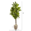Nearly Natural 68-in Dracaena Artificial Plant In Sand Colored Planter (Real Touch) -Greenery Decor Store GUEST 4ef2d0eb cbb3 41ff 9d71 279a6f4e6432