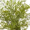 13" X 16" Artificial Maiden Hair Plant In Decorative Planter - Nearly Natural