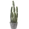 Nearly Natural Decorative Cactus Garden With Cement Planter