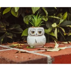 Silver Buffalo Harry Potter Hedwig 3-Inch Ceramic Mini Planter With Artificial Succulent -Greenery Decor Store GUEST 53f13d41 13a8 4cb3 a04f 8e9052f24f29