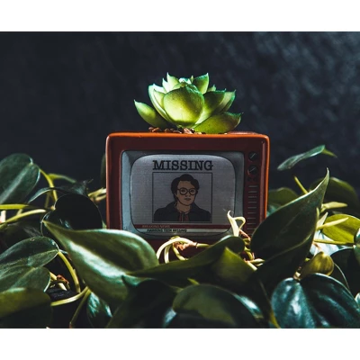 Silver Buffalo Stranger Things Missing Barb 3.75-Inch Ceramic Mini Planter With Artificial Succulent 4 Silver Buffalo Stranger Things Missing Barb 3.75-Inch Ceramic Mini Planter With Artificial Succulent - Image 2