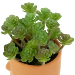Northlight 5.5" Mini Artificial Succulent In Face Planter Pot 11 Northlight 5.5" Mini Artificial Succulent In Face Planter Pot -Greenery Decor Store GUEST 55a0520b 8ac1 4bbc 9eb9 fa86aa194d20