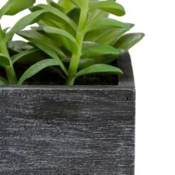 Northlight 23" Artificial Mixed Succulent Plants In A Rectangular Planter -Greenery Decor Store GUEST 56524abe c9b9 4043 a816 86adb8d65395